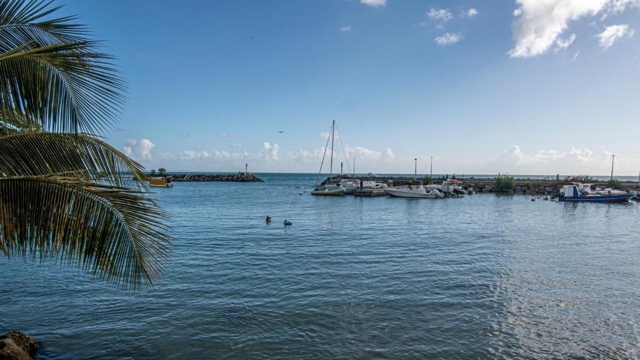 Superbe Studio A La Baie Des Pelicans Le Gosier  Exteriör bild